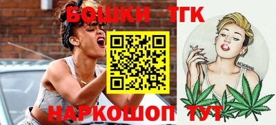 индика Мариинск