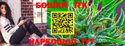 индика Мариинск