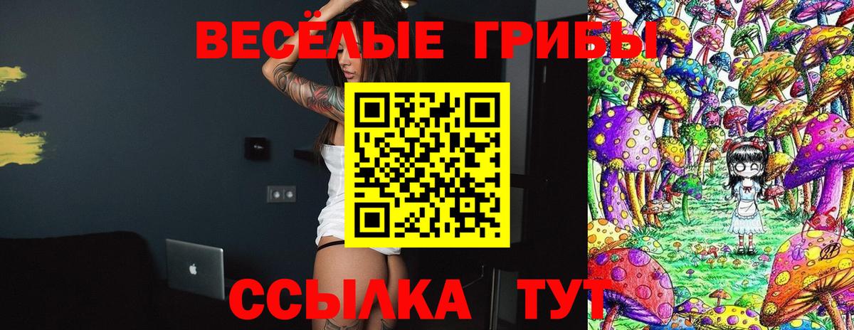 Галлюциногенные грибы Psilocybe Владимир